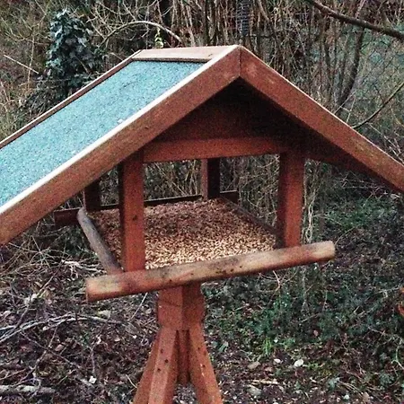 Гостевой дом Dimora Del Riccio